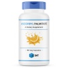 SNT Ascorbyl Palmitate 500 mg (90 caps)