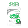 6PAK Ashwagandha 666 mg Extract (90 caps)